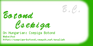 botond csepiga business card